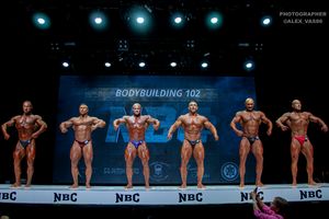 BODYBUILDING 102